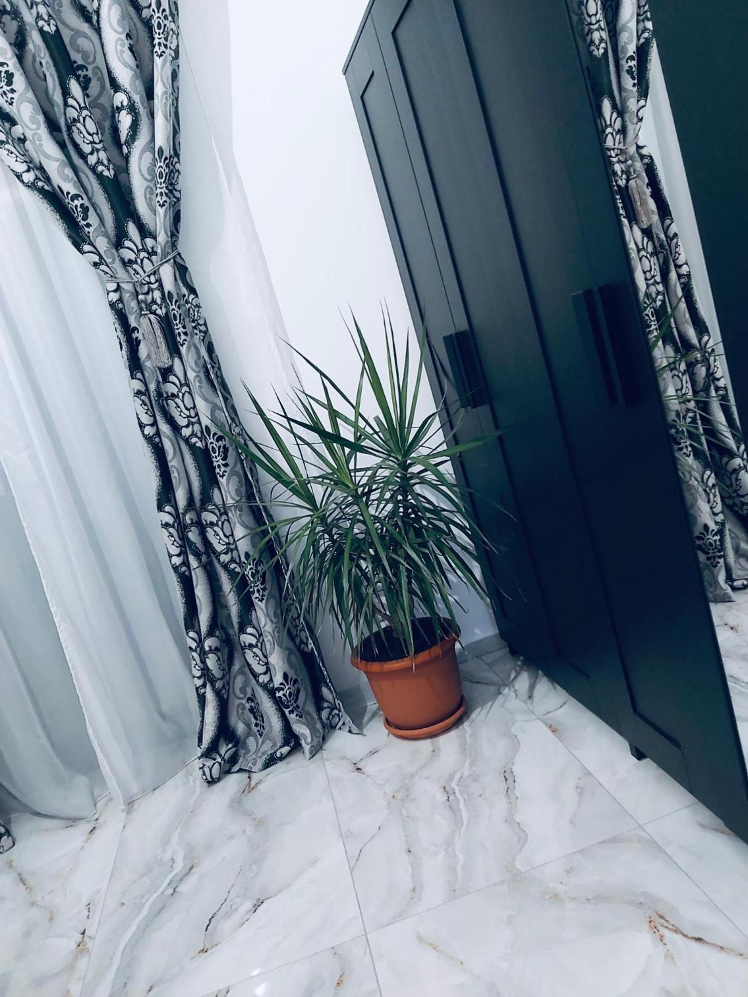 The Residence Of Silver Sky House Timisoara Esterno foto